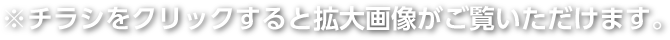 チラシをクリックすると拡大画像がご覧いただけます。